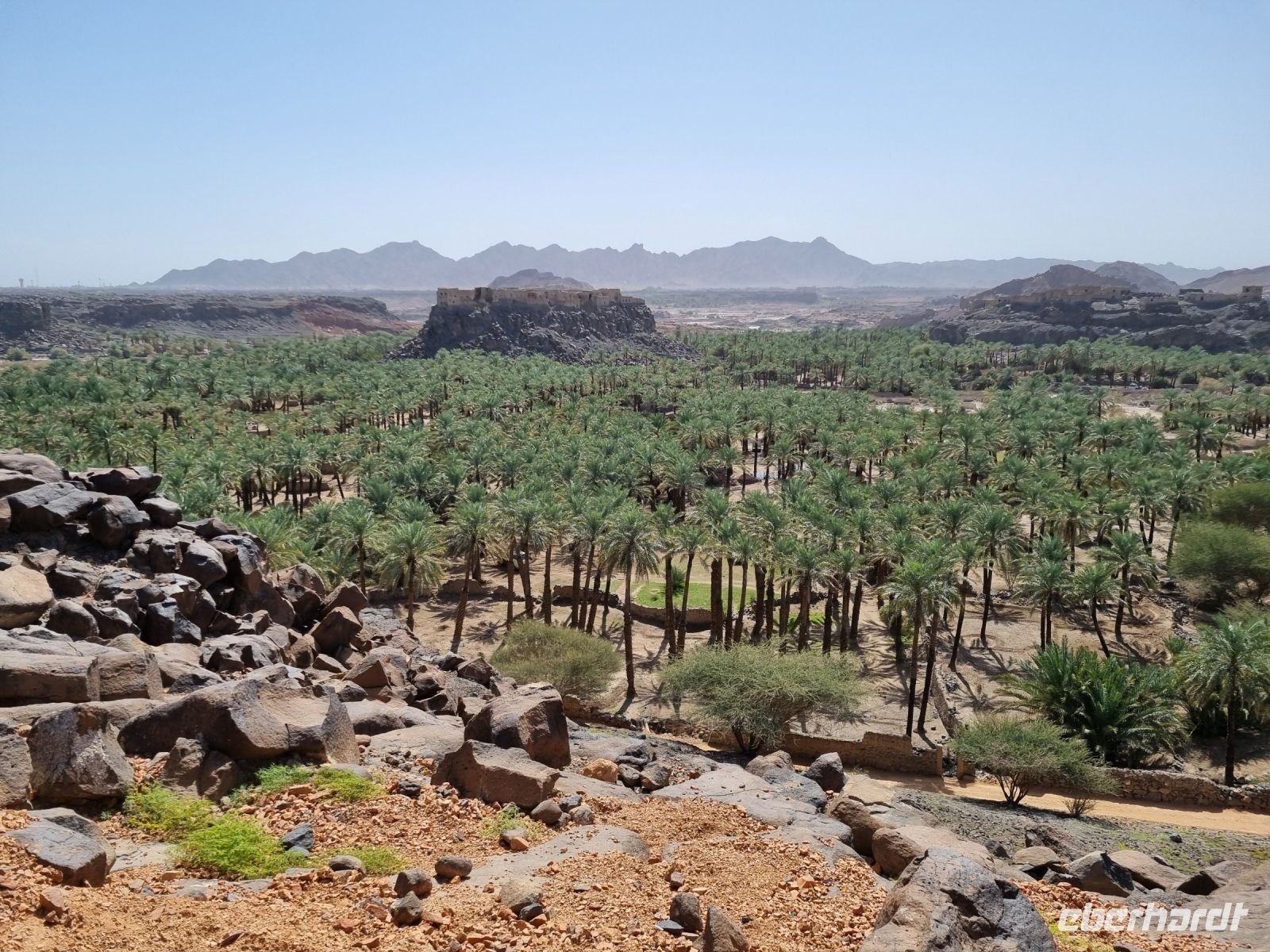 Khaibar - Blick in die Oase