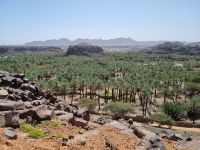 Khaibar - Blick in die Oase