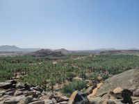 Khaibar - Blick in die Oase