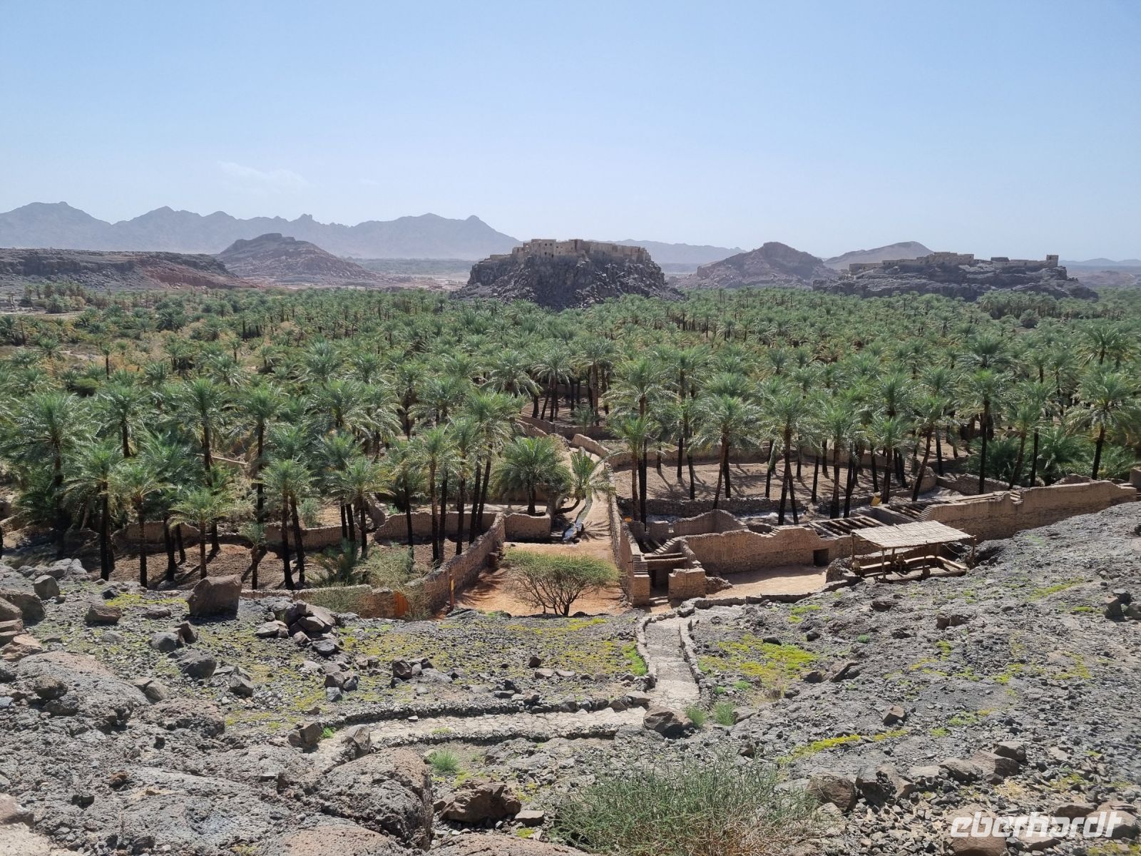 Khaibar - Blick in die Oase