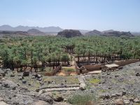 Khaibar - Blick in die Oase