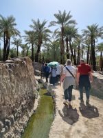 Khaibar - Spaziergang durch die Oase...