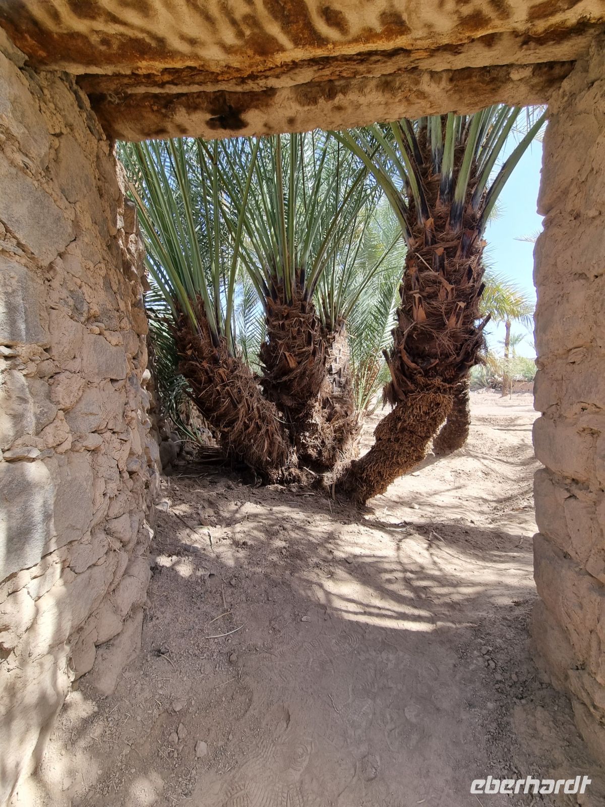 Khaibar - Spaziergang durch die Oase...