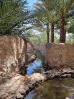 Khaibar - Spaziergang durch die Oase...