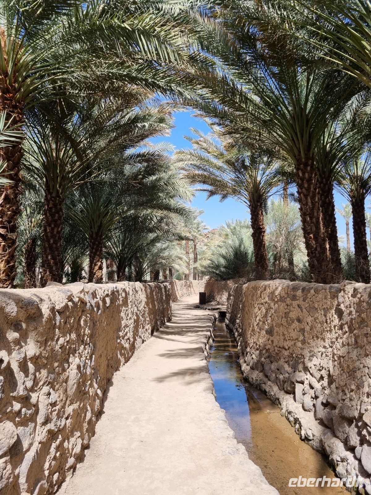 Khaibar - Spaziergang durch die Oase...