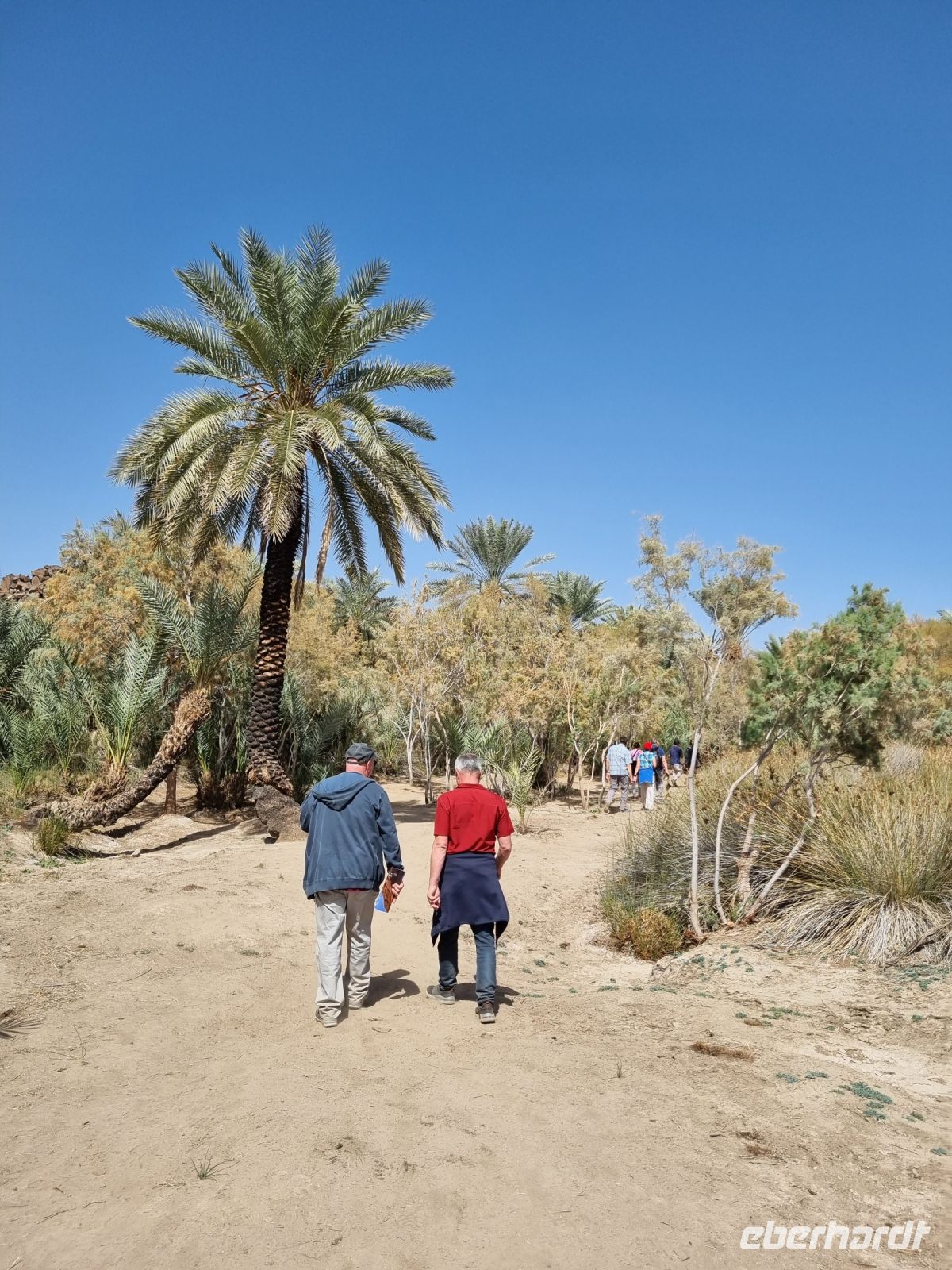 Khaibar - Spaziergang durch die Oase...