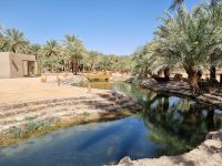 Khaibar - Ain Aliammar