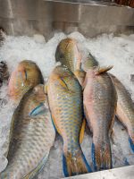 Jeddah - Abendessen im Restaurant 