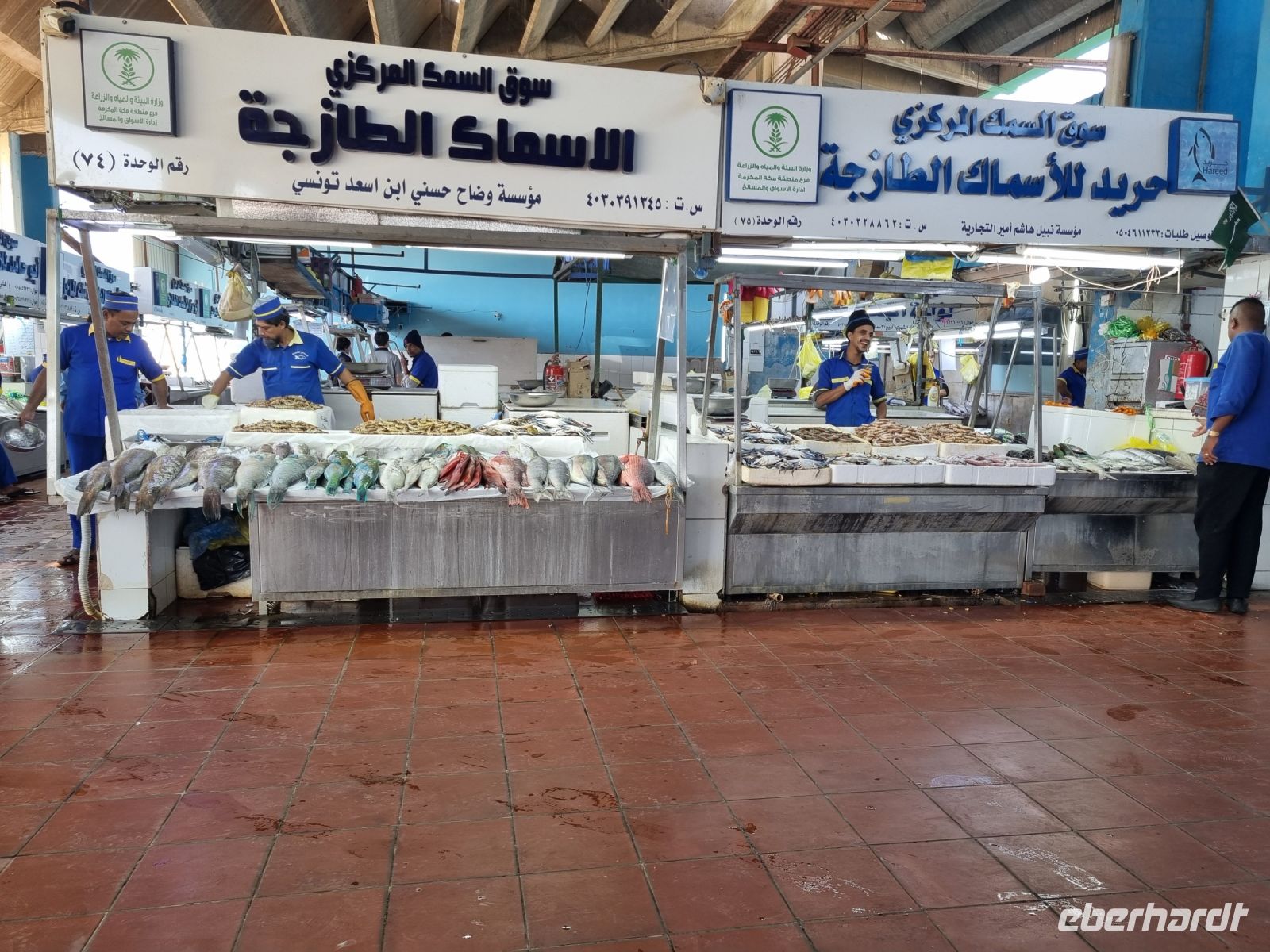 Jeddah - Fischmarkt 