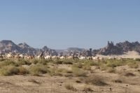 auf dem Weg nach Madakhil