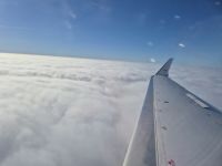 zurück in Deutschland