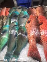 Fischmarkt Dschidda