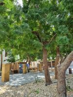 Jeddah - Altstadt 
