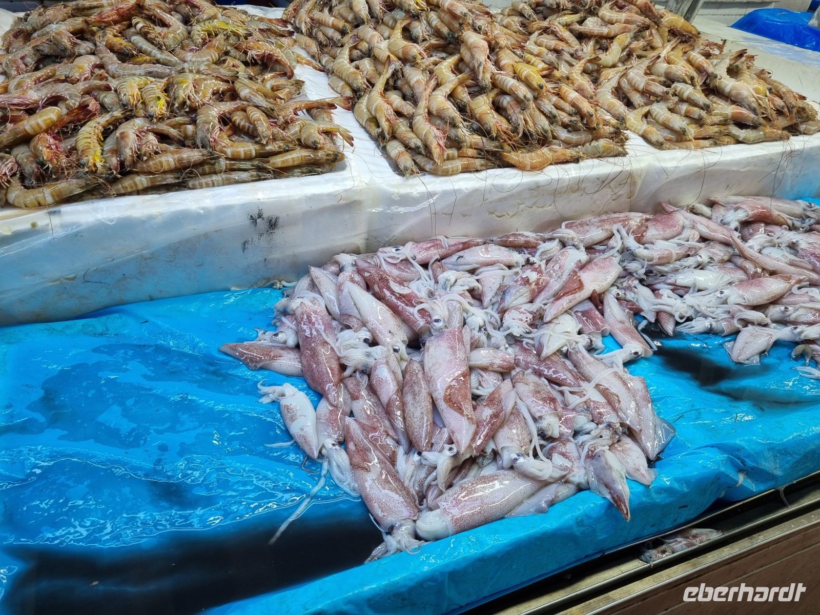 Jeddah - Fischmarkt 