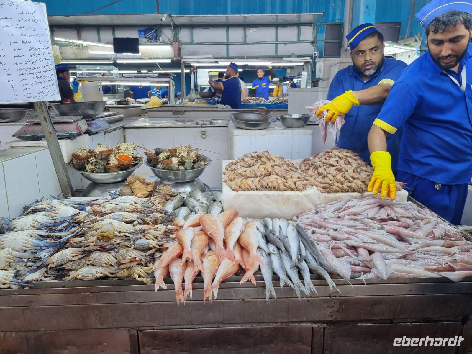 Jeddah - Fischmarkt 