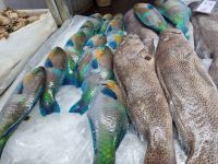 Jeddah - Fischmarkt 