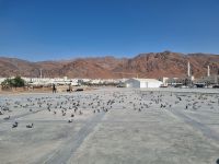 Medina - Vorplatz der Moschee Shuhada Uhud am Berg Uhud 