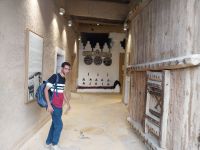 Riad, Masmak Fort