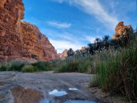 Wadi Al Disah