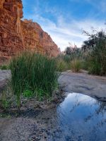 Wadi Al Disah