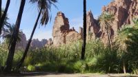 Wadi Disah