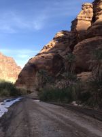 Wadi Disha