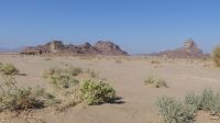 unterwegs von Tabuk zum Roten Meer