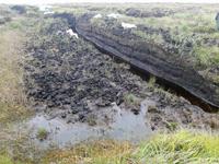  Torfstich im Glenveagh Nationalperk