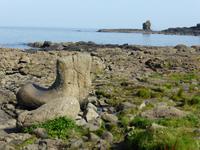 giant´s Causeway - Stiefel des Riesen