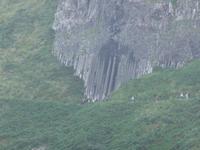 Giant´s Causeway - Orgel