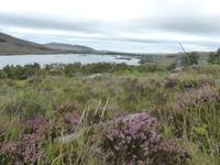 Glenveagh Nationalpark