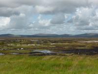 Moorlandschaft im Co. Mayo