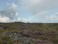 Ceidhe Fields