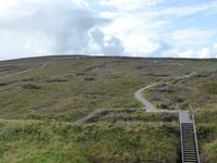 Ceidhe Fields