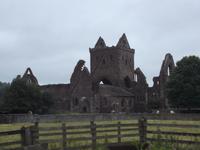 Ruinen von Sweetheart Abbey