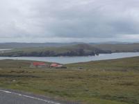 auf der Halbinsel Eshaness, nördliches Mainland, Shetlands