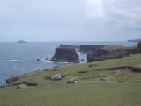 Vulkanfelsen von Eshaness, nördliches Mainland, Shetlands