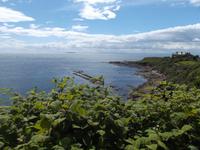 Blick zum Fischerhafen von Crail