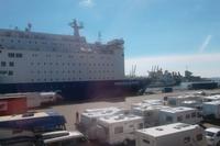 Im Hafen von Ijmuiden