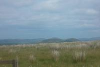mit Blick auf die Hügel der Borders 