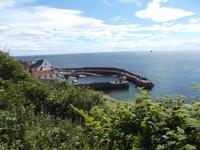 Blick zum Fischerhafen von Crail