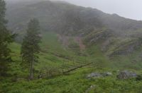 081 - Glencoe