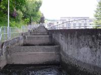 Lachsleiter in Pitlochry