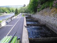Lachsleiter in Pitlochry