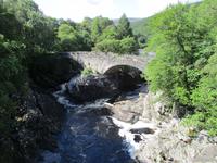 Thomas Telfort Brigde über den Morriston Falls