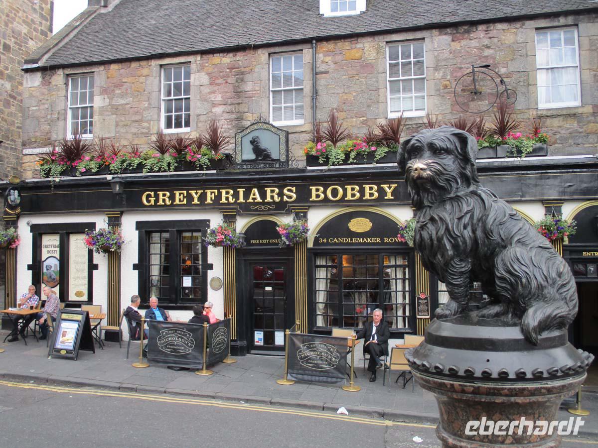 Der treueste Hund der Welt