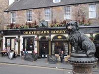 Der treueste Hund der Welt