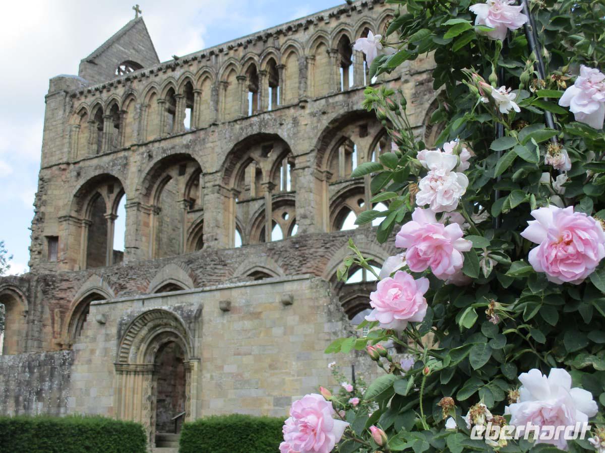Jedburgh Abbey2