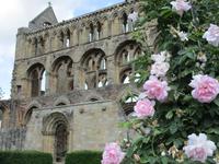 Jedburgh Abbey2