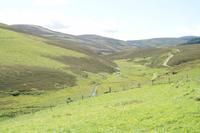 Kleiner Bach bei Corgraff Castle